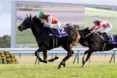 asian bookie horse racing forum|thoroughbred history.